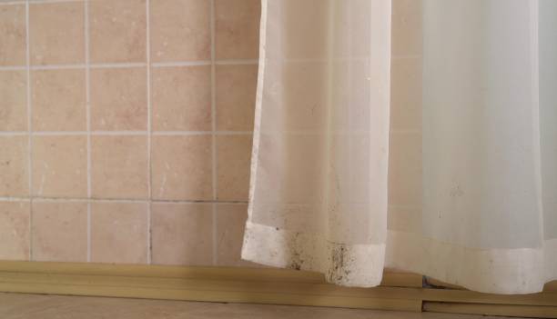 Best Mold-Related Health Consultation  in Naples Park, FL