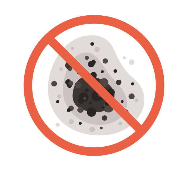 Best Mold Odor Removal Services  in Naples Park, FL